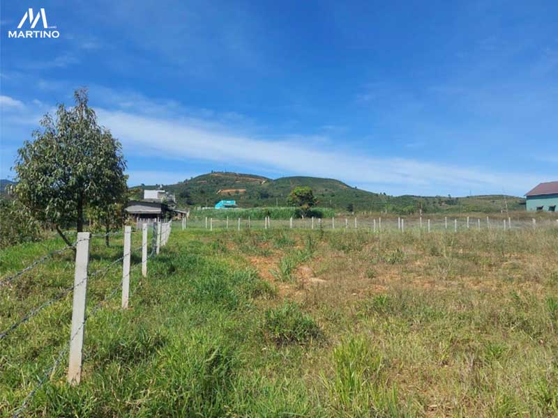 Bán lô đất hẻm Đinh Công Tráng, xã Lộc Châu ,Bảo Lộc